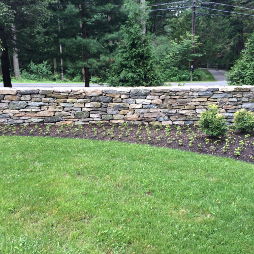 Stone wall in Needham MA(1)