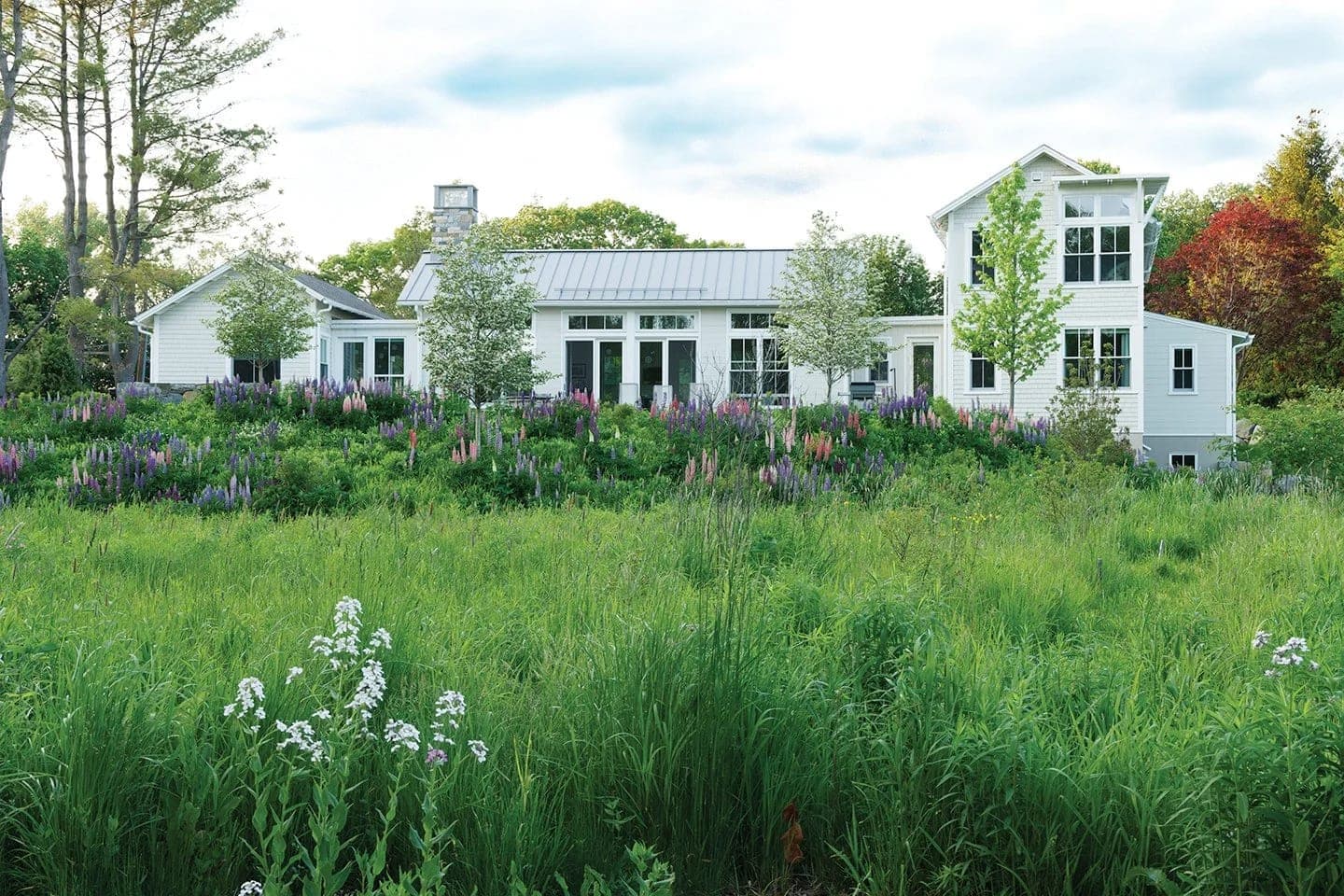 Meadow gardens and stone landscape, MetroWest MA