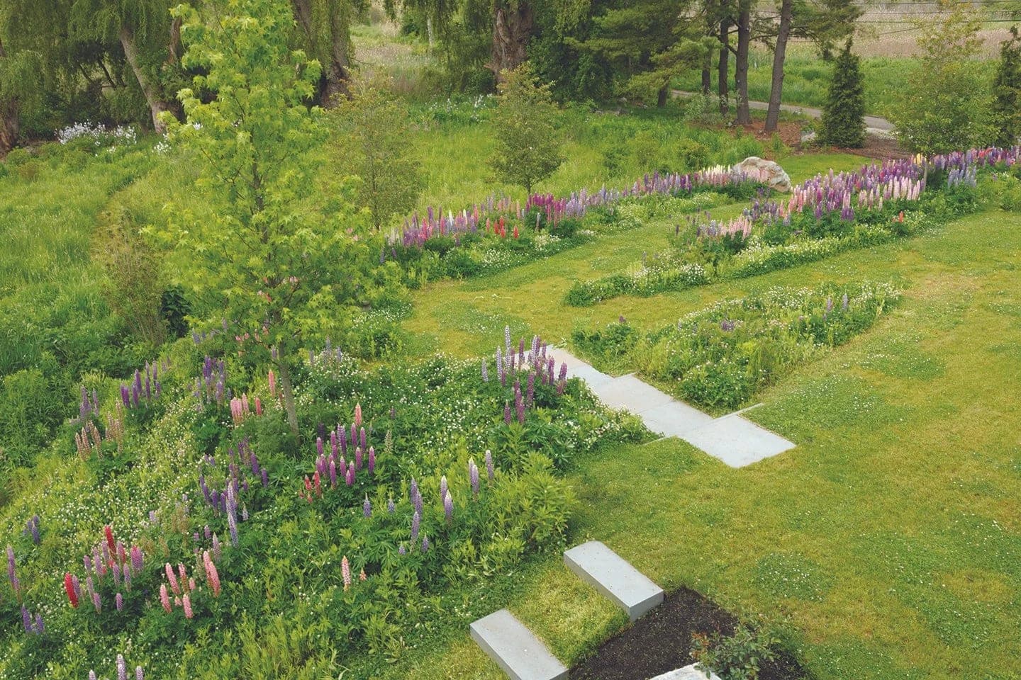 Great Meadow project — meadow gardens & landscape in MetroWest, MA (6)