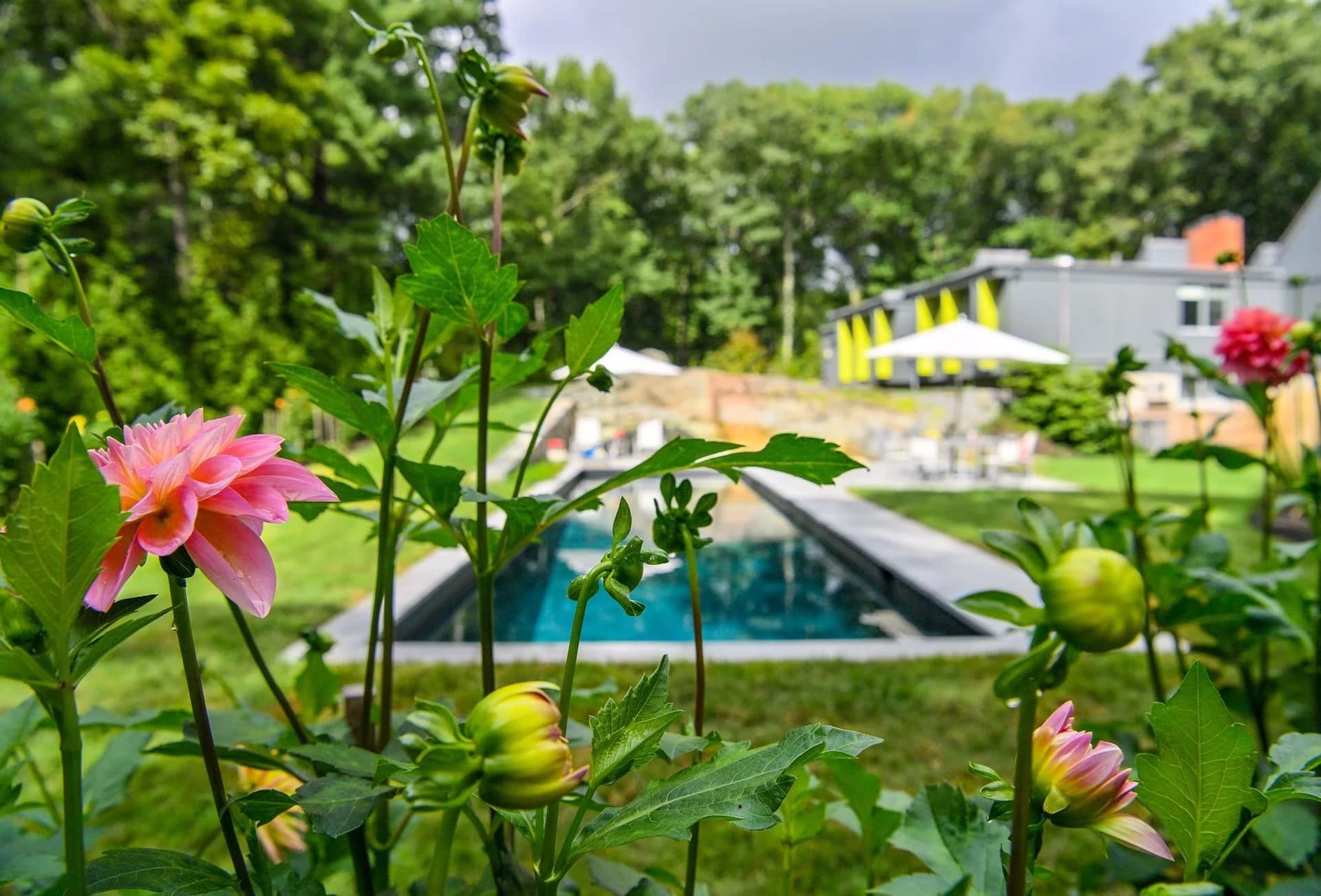 Lincoln project — pool & gardens in Lincoln, MA (2)