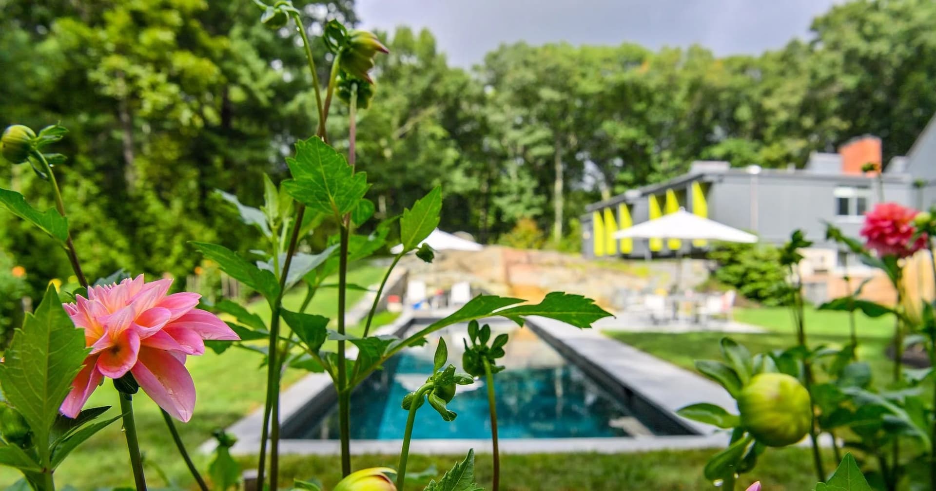 Lincoln project — pool & gardens in Lincoln, MA (3)