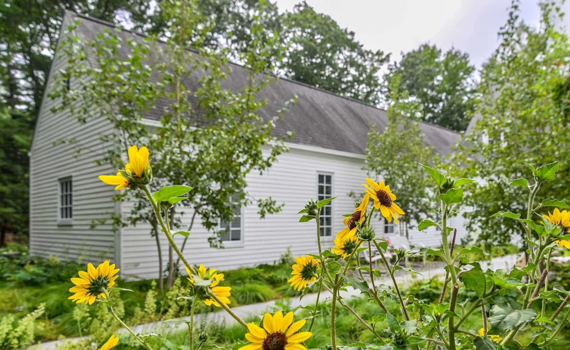Weston project — walkway & landscape in Weston, MA (3)