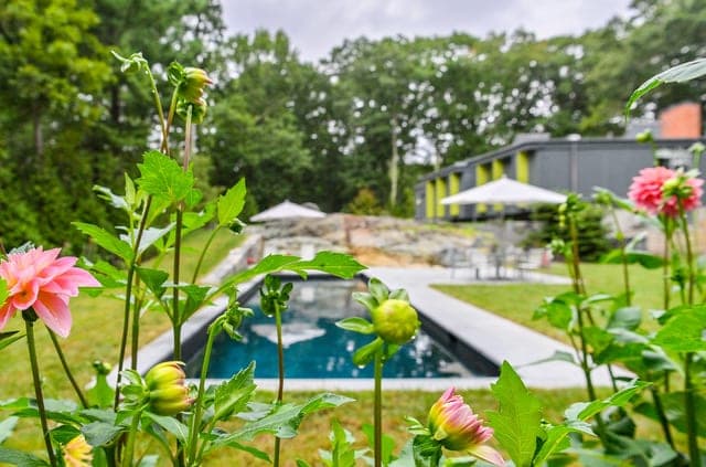 Pool and landscape detail