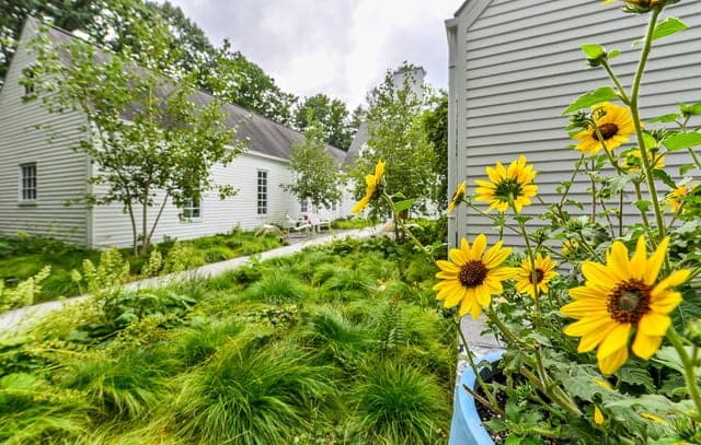 Walkway and garden detail in Weston, MA